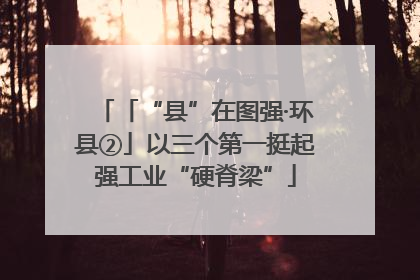 「“县”在图强·环县②」以三个第一挺起强工业“硬脊梁”