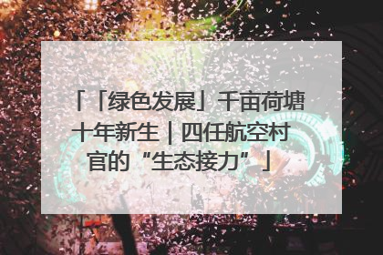 「绿色发展」千亩荷塘 十年新生｜四任航空村官的“生态接力”