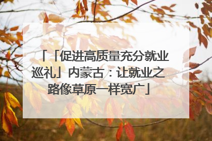 「促进高质量充分就业巡礼」内蒙古：让就业之路像草原一样宽广