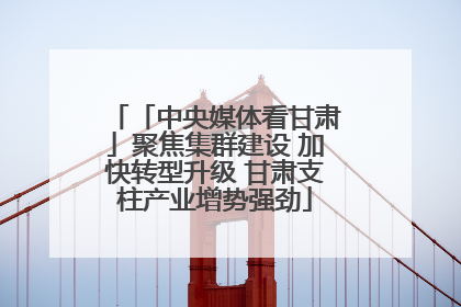 「中央媒体看甘肃」聚焦集群建设 加快转型升级 甘肃支柱产业增势强劲