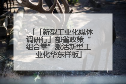 「新型工业化媒体调研行」部省政策“组合拳”激活新型工业化华东样板
