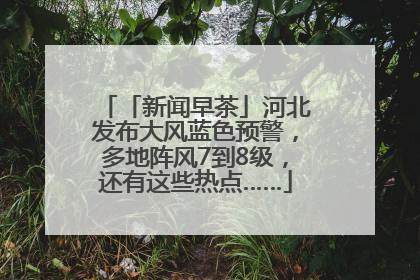 「新闻早茶」河北发布大风蓝色预警，多地阵风7到8级，还有这些热点……