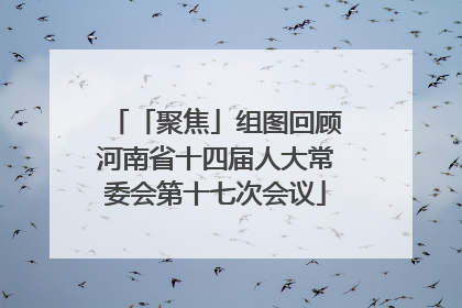 「聚焦」组图回顾河南省十四届人大常委会第十七次会议