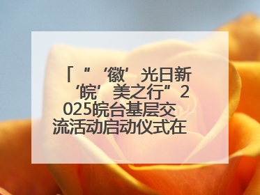 “‘徽’光日新‘皖’美之行”2025皖台基层交流活动启动仪式在芜举行