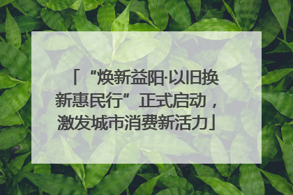 “焕新益阳·以旧换新惠民行”正式启动，激发城市消费新活力