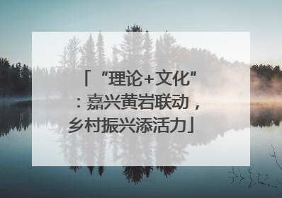 “理论+文化”：嘉兴黄岩联动，乡村振兴添活力