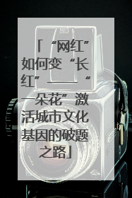 “网红”如何变“长红”——“一朵花”激活城市文化基因的破题之路