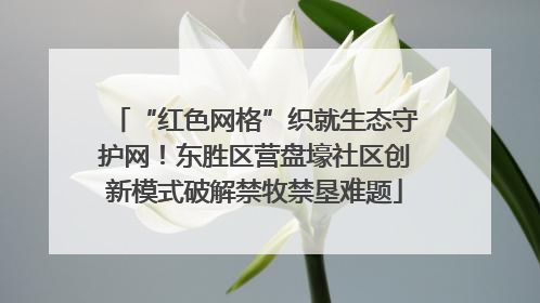 “红色网格”织就生态守护网！东胜区营盘壕社区创新模式破解禁牧禁垦难题