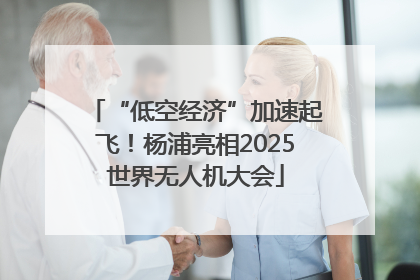 “低空经济”加速起飞！杨浦亮相2025世界无人机大会