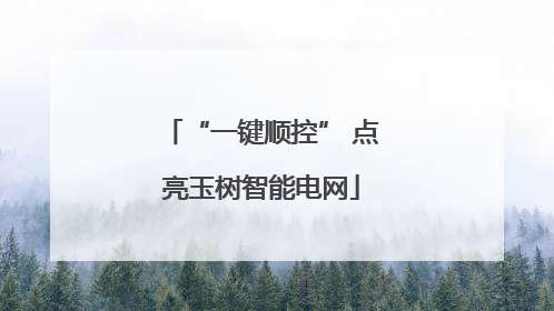 “一键顺控” 点亮玉树智能电网