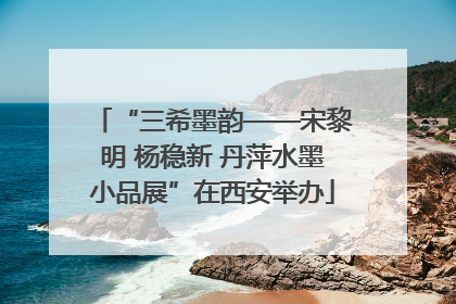 “三希墨韵——宋黎明 杨稳新 丹萍水墨小品展”在西安举办