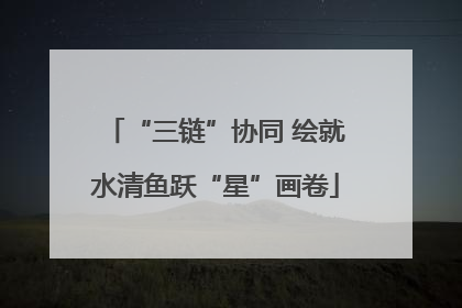 “三链”协同 绘就水清鱼跃“星”画卷