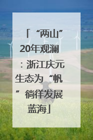 “两山”20年观澜：浙江庆元生态为“帆”徜徉发展蓝海