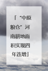 “中原粮仓”河南耕地面积实现四年连增