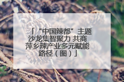 “中国辣都”主题沙龙集智聚力 共商萍乡辣产业多元赋能路径（图）