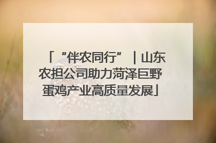 “伴农同行”｜山东农担公司助力菏泽巨野蛋鸡产业高质量发展