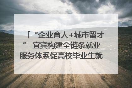 “企业育人+城市留才” 宜宾构建全链条就业服务体系促高校毕业生就业｜您牵挂的四川