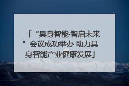 “具身智能·智启未来”会议成功举办 助力具身智能产业健康发展