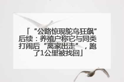 “公路惊现鸵鸟狂飙”后续：养殖户称它与同类打闹后“离家出走”，跑了1公里被找回