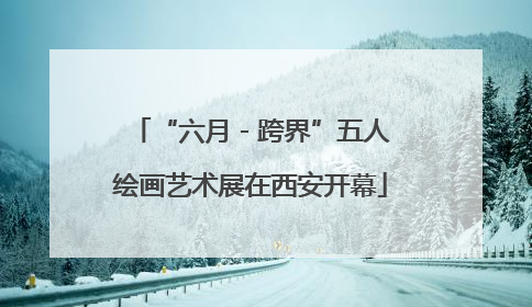 “六月 - 跨界”五人绘画艺术展在西安开幕