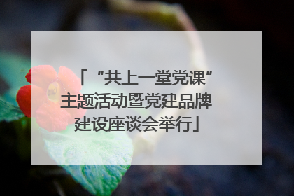 “共上一堂党课”主题活动暨党建品牌建设座谈会举行