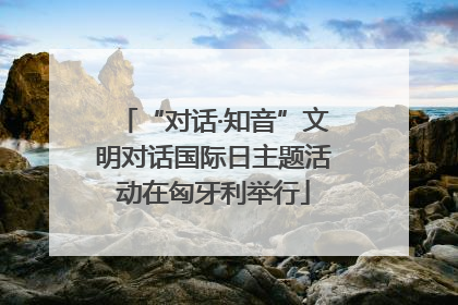“对话·知音”文明对话国际日主题活动在匈牙利举行