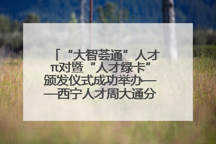 “大智荟通”人才π对暨“人才绿卡”颁发仪式成功举办——西宁人才周大通分会场亮点纷呈