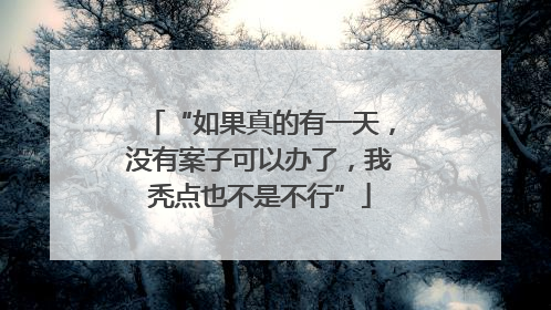 “如果真的有一天，没有案子可以办了，我秃点也不是不行”