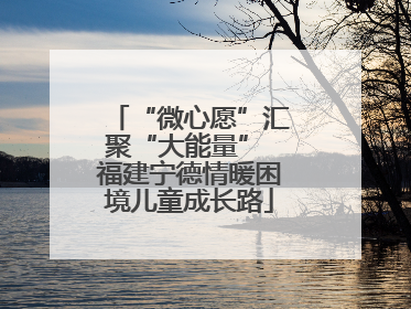 “微心愿”汇聚“大能量” 福建宁德情暖困境儿童成长路