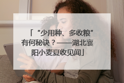 “少用种、多收粮”有何秘诀？——湖北襄阳小麦夏收见闻