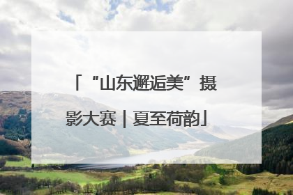“山东邂逅美”摄影大赛｜夏至荷韵