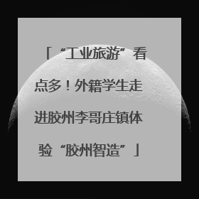 “工业旅游”看点多！外籍学生走进胶州李哥庄镇体验“胶州智造”