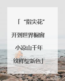 “指尖花”开到世界橱窗 小凉山千年纹样绽新色