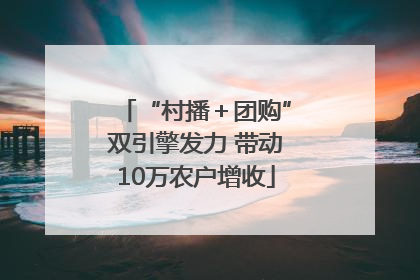 “村播＋团购”双引擎发力 带动10万农户增收