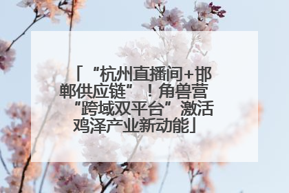 “杭州直播间+邯郸供应链”！角兽营“跨域双平台”激活鸡泽产业新动能