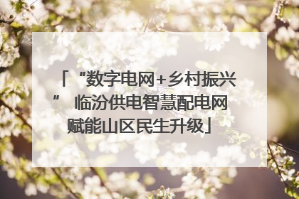 “数字电网+乡村振兴” 临汾供电智慧配电网赋能山区民生升级