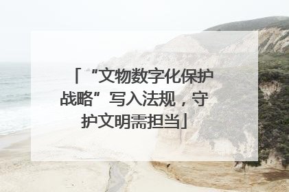 “文物数字化保护战略”写入法规，守护文明需担当