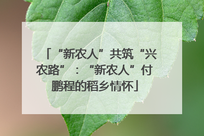 “新农人”共筑“兴农路”：“新农人”付鹏程的稻乡情怀