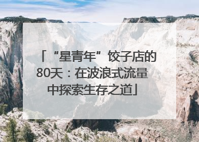“星青年”饺子店的80天：在波浪式流量中探索生存之道
