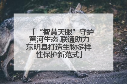 “智慧天眼”守护黄河生态 联通助力东明县打造生物多样性保护新范式