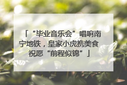“毕业音乐会”唱响南宁地铁，皇家小虎携美食祝愿“前程似锦”