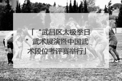 “武昌区太极拳日”武术展演暨中国武术段位考评赛举行