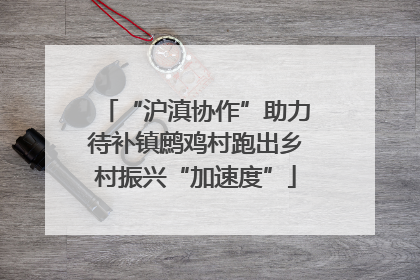 “沪滇协作”助力待补镇鹧鸡村跑出乡村振兴“加速度”
