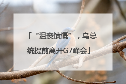 “沮丧愤慨”，乌总统提前离开G7峰会