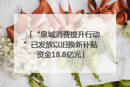 “泉城消费提升行动”已发放以旧换新补贴资金18.8亿元