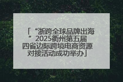 “浙跨全球品牌出海”2025衢州第五届四省边际跨境电商资源对接活动成功举办