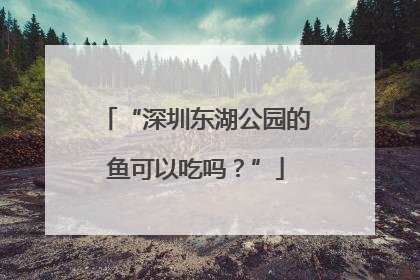 “深圳东湖公园的鱼可以吃吗？”