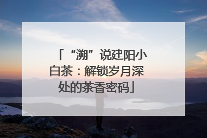 “溯”说建阳小白茶：解锁岁月深处的茶香密码