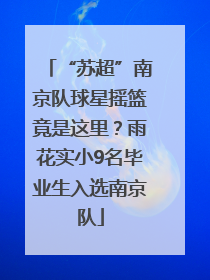 “苏超”南京队球星摇篮竟是这里？雨花实小9名毕业生入选南京队