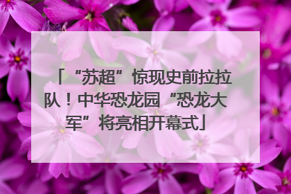“苏超”惊现史前拉拉队！中华恐龙园“恐龙大军”将亮相开幕式